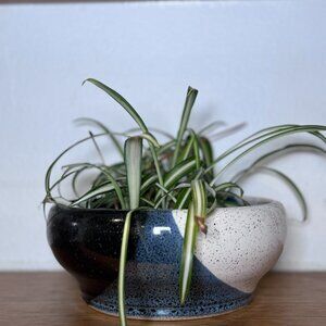 Handmade pottery bowl, dish, planter, serving dish, catch-all bowl